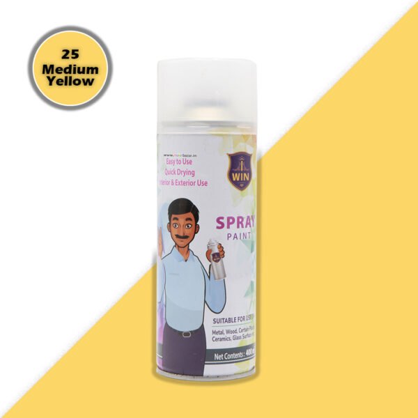 IWIN: Spray Paint Bottle - 400ml/275gms - Image 17
