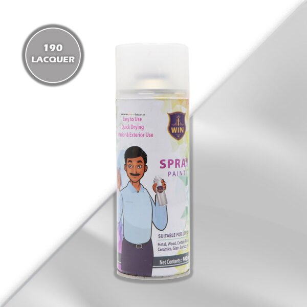 IWIN: Spray Paint Bottle - 400ml/275gms - Image 19