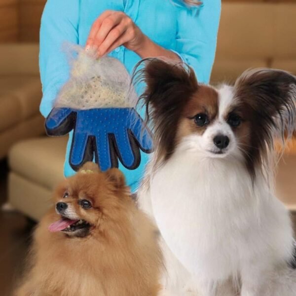 5 Finger Deshedding Glove (1 pc) for DIY/Pets - Image 4